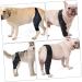 GANAZONO Dog Hindleg Cover Paw Butter Balm for Dogs Comfy Brace Dog Rear Leg Splint Care Elbow Pads S As Shown - Buy Online on GoSupps.com