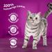 Whiskas 7+ Cat Food Classic Selection in Sauce - 12x85g (4 Packs) | High-Quality Wet Food for Senior Cats - International Shipping Available - Buy Online on GoSupps.com