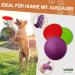 Wepo Frisbee Dog Toy Set - 18cm | Water-Resistant Training Toys for Big Dogs | Durable Red/Purple/Green Discs for Outdoor Play & Training - Buy Online on GoSupps.com