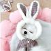 ANIAC Small Dog Bunny Ears Hoodie Cat Rabbit Outfit | Small Grey-2 Winter Jacket for Pets - Buy Online on GoSupps.com
