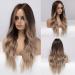 Buy Haircube 24-Inch Ombre Brown Curly Wig - Naturally Looking Synthetic Women's Wig with Middle Parting - Buy Online on GoSupps.com