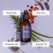 Scalp and Beard Hydration Mist Detangle in a Few Sprays Combat Dry and Brittle Strands Plant Based Natural Ingredients (Drizzle 3.5 oz) Lavender 3.5 Fl Oz (Pack of 1) - Buy Online on GoSupps.com