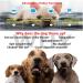 Fun Feeder Slow Bowl Dog Slow Feeders Bowls Anti-Obesity&Choking&Overeating Dog Puzzle Healthy Anti-Slip Lick Treat Bowls Dishes Maze Interactive Puzzle(Dark Green) - Buy Online on GoSupps.com