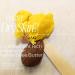 Raw Organic Yellow Shea Butter 5LB Pail | Bulk Natural African Shea Butter for Body Butters Soap Making Haircare & Skincare - DIY Beauty Products - Buy Online on GoSupps.com