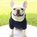 Shop Warm Winter Dog Coats & Jackets | Cozy Fleece Sweaters for Puppies & Medium Dogs - International Shipping Available - Buy Online on GoSupps.com