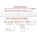 Adjustable Closure Diabetic Shoes for Women & Men - Wide Width, Breathable Slippers for Swollen Feet - Lightweight Elderly Walking Shoes - Buy Online on GoSupps.com