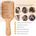 Antistatic Bamboo Paddle Hairbrush - Wooden Bristle Brush for Men Women & Kids - Frizz Control & Scalp Massage - Buy Online on GoSupps.com
