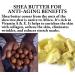 African Shea Butter Body Lotion 7.9oz | 100% Raw & Unrefined Moisturizer for Dry Skin | Non-Greasy Hydrating Skincare for Men & Women - 225g - Buy Online on GoSupps.com