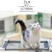 Lcybem Cat Window Hammock - Sturdy Suction Cups Window Perch for Cats - Holds Two Large Cats - 360 Sunbathe - Indoor Cat Window Seat - Buy Online on GoSupps.com