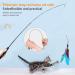 Hianjoo Cat Feather Teaser Set: 12pcs Interactive Toys with 2 Retractable Wands and 10 Replacement Feathers - Fun Exercise and Play for Kittens and Cats - Buy Online on GoSupps.com
