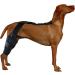 Dog Knee Support Brace | Brace Behind Leg - Support Dog Knee Brace Neoprene Hip Brace Adjustable Traction Belt for Knee for Cruciate Ligament Injury for Torn ACL Leg L right - Buy Online on GoSupps.com