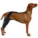 Dog Behind Leg Brace Rear Leg Brace Neoprene Hip Brace Support Dog Knee Brace Adjustable Traction Belt for Cruciate Ligame for Cruciate Ligament Injury for Torn ACL Leg L right
