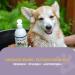 Healthy Dog Co 6-in-1 Natural Dog Shampoo & Conditioner - Odor Control Gentle & Moisturizing for Long Hair - 500ml Puppy Shampoo - Buy Online on GoSupps.com