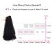 BHF 26 inch Kinky Curly Clip In Hair Extension - 140g Double Weft Full Head Synthetic Hair Extensions for Women - Japanese Heat Resistance Fiber - 7 Pieces (Curly-2) - Buy Online on GoSupps.com