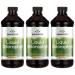 Swanson Liquid Chlorophyll 100 mg 16 fl oz (473 ml)