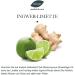 Buy Schneider Sauna Supplies - Ginger Lime Infusion 250ml | Fresh & Fruity Spicy Sauna Essence - Buy Online on GoSupps.com
