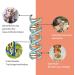 GenoLine DNA Dog Breed Test - Accurate Breed Determination for All Dogs Worldwide - Buy Online on GoSupps.com