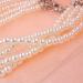 Balacoo 4 Row Pearl Necklace with Rhinestone Heart Charm for Pets - Size M - Buy Online on GoSupps.com