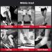 Coogime Plantar Fasciitis Foot Wraps - Flexible Ankle Brace & Bandage for Pain Relief (Gray M EU 39-41) - Buy Online on GoSupps.com