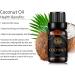 100% Pure Coconut Essential Oil - 10ml Therapeutic Grade for Diffusers Humidifiers Aromatherapy Skin & Hair Care - Buy Online on GoSupps.com