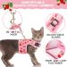 BINGPET Cat Harness with Leash Escape Proof - Fashionable Mesh Cat Dog Walking Harness Leads Adjustable for Kitties Puppies Large Animals Strawberry Large - Buy Online on GoSupps.com