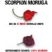 Scovilla Scorpion Moruga Dried Pods 20 g - Buy Online on GoSupps.com