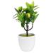 Zerodeko 2pcs Faux Lemon Potted Plant Mini Greenery Faux Plants Indoor Artificial Fruit Tree Bonsai Summer Flower Decor Ornament Office Lemon Tree Decors Plastic Desktop Decorations Yellow 11x6.5x26cm
