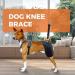 Dog Knee Brace for Torn Hind Leg or Back Leg Adjustable Pet Dog Rear Leg Bracer Support for Joint Pain Muscle Sore Knee Cap Dislocation Black for Injury Arthritis ACL Pain Relief(Large) - Buy Online on GoSupps.com
