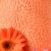 Color Mill Oil Blend Food Color - Orange 20ml | Best Food Coloring for Chocolate Cupcakes and Baking - Oil-Based Color for Fondant & Macarons - Buy Online on GoSupps.com