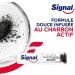 SIGNAL - Activated Charcoal Whitening System Toothpaste - Whiter teeth in 1 week - Natural whiteness - 95% ingredients of natural origin (pack of 6x75ml) - Buy Online on GoSupps.com