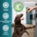 Ameizpet Soft Dog Treats with Probiotics & Prebiotics - 120 Digestive Snacks for Intestinal Health - Buy Online on GoSupps.com