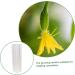 Toddmomy Garden Fruit Mould 6 Pcs Vegetable Shaping Mold Fruit Vegetable Mold Vegetable Shaped Mold Planting Supplies Modeling - Buy Online on GoSupps.com