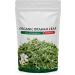 SM Brahmi Feuilles 250 g Herbal / Plant - Buy Online on GoSupps.com