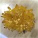 Yellow Electroplated Natural Crystal Cluster Specimen Raw Rock Quartz Flowers Aura Stones Gift Modern House Decor yuebang Reiki Crystal Stone - Buy Online on GoSupps.com