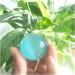 Ornament Natural Blue Cat Eye Quartz Crystal Stone Ball 40mm for Decoration 1PC Stone Collection 1pc 4cm - Buy Online on GoSupps.com