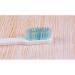 Buy Zumaha Compact Toothbrush - Medium-Proof Bristles Portable & Ergonomic (Pack of 10) for Men & Women | Ideal for Travel - Best Price Online - Buy Online on GoSupps.com