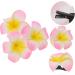 DRESSOOS 1pc Floral Decorations Plumeria Hair Pin Wedding Headpiece for Bride Hawaii Decor Flowers Decoration Flower Decorations Hawaiian Hair Flower Bridal Headdress Pink Miss Comb Pearl - Buy Online on GoSupps.com