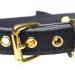 Master Series Golden Kitty Cat Bell Collar - Black & Gold | Premium International Shipping - Buy Online on GoSupps.com