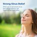 Rite Aid Severe Sinus Medicine - 20 Caplets | Maximum Strength Nasal Decongestant for Adults - Buy Online on GoSupps.com