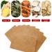 GreenHB 100 Pcs Ginger Foot Patches for Lymphatic Drainage and Pain Relief - Buy Online on GoSupps.com