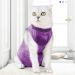 Yoolhamy Katzenbody | Professional Recovery Suit for Cats | Post-Op Castration & Wound Protection | E-Collar Alternative | Small Violet - Buy Online on GoSupps.com