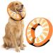 Ducomi XL Inflatable Hinges for Dogs & Cats - Post-Op Relaxation Mobility & Scratch Protection - Buy Online on GoSupps.com