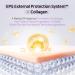 APLB Collagen EGF Peptide Body Lotion | COLLAGEN PEPT CEN 17.1% 10.14 FL.OZ/Korean Skincare Elasticity care Long lasting moisturizing Revitalize for gentle and improve skin texture - Buy Online on GoSupps.com
