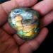 Natural Crystal Rough 30-40g Natural Labradorite Heart Shape Crystal Rough Polished Stones - Buy Online on GoSupps.com