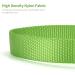 Audwud Thick Nylon Dog Collar | Adjustable & Classic | Neon Green | Sizes S-XL for Small Medium & Large Dogs - Buy Online on GoSupps.com