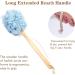 Shower Loofah Bath Sponge Set with Back Scrubber and Shower Brush - Body Exfoliating Spa Set for Men & Women - Blue & Pink 2 Piece - Buy Online on GoSupps.com