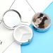 Round Pill Box with Border Collie Print - 3 Compartment Portable Pill Organizer | Decorative Metal Pocket Pill Case - Buy Online on GoSupps.com
