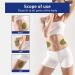Wondershape Wormwood Waist Patch - Detox Belly Fat Loss Plaster (96 Pieces) | Effective Weight Loss Subscription Patch - Buy Online on GoSupps.com