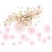 Ipetboom Hair Decorations Wedding Hair Accessories for Women Bride Headpieces for Wedding Pearl Hair Clip Hair Claw Hair Comb Rhinestone Headdress Pearl Inlaid Comb Headgear Fine - Buy Online on GoSupps.com