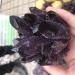 Crystal Hole Specimen Healed 1pc Natural Crystals Clear Quartz Cluster Freeform Reiki Stones Room Home Office Aquarium Decoration Accessories Gemstone As a Gift Crystal Hole (Size : 400-500g) - Buy Online on GoSupps.com